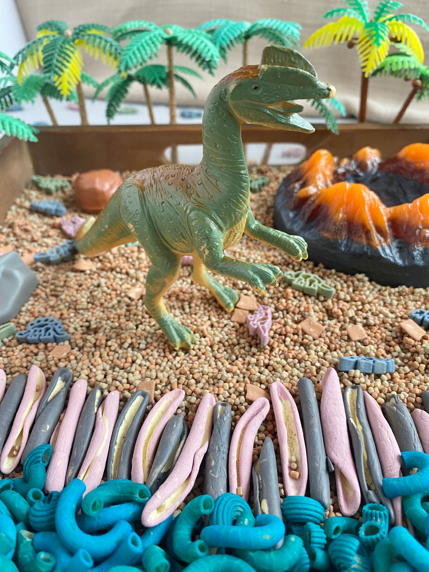 ‘Jurassic Garden' Pour & Explore Mix