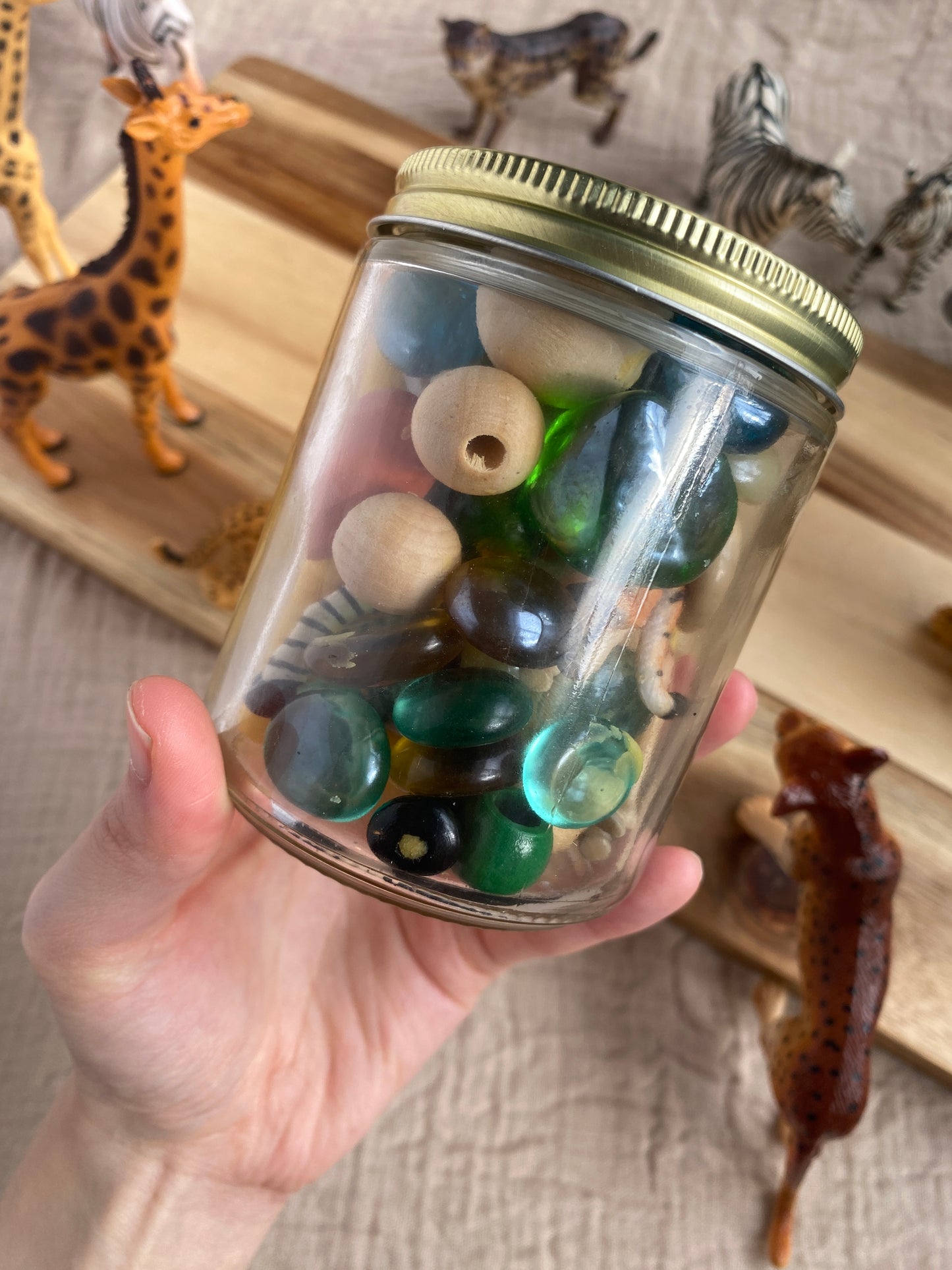 Savannah Safari - Dough to Go Jar