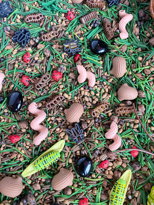 'Grass, Grit & Bugz' Pour & Explore Mix