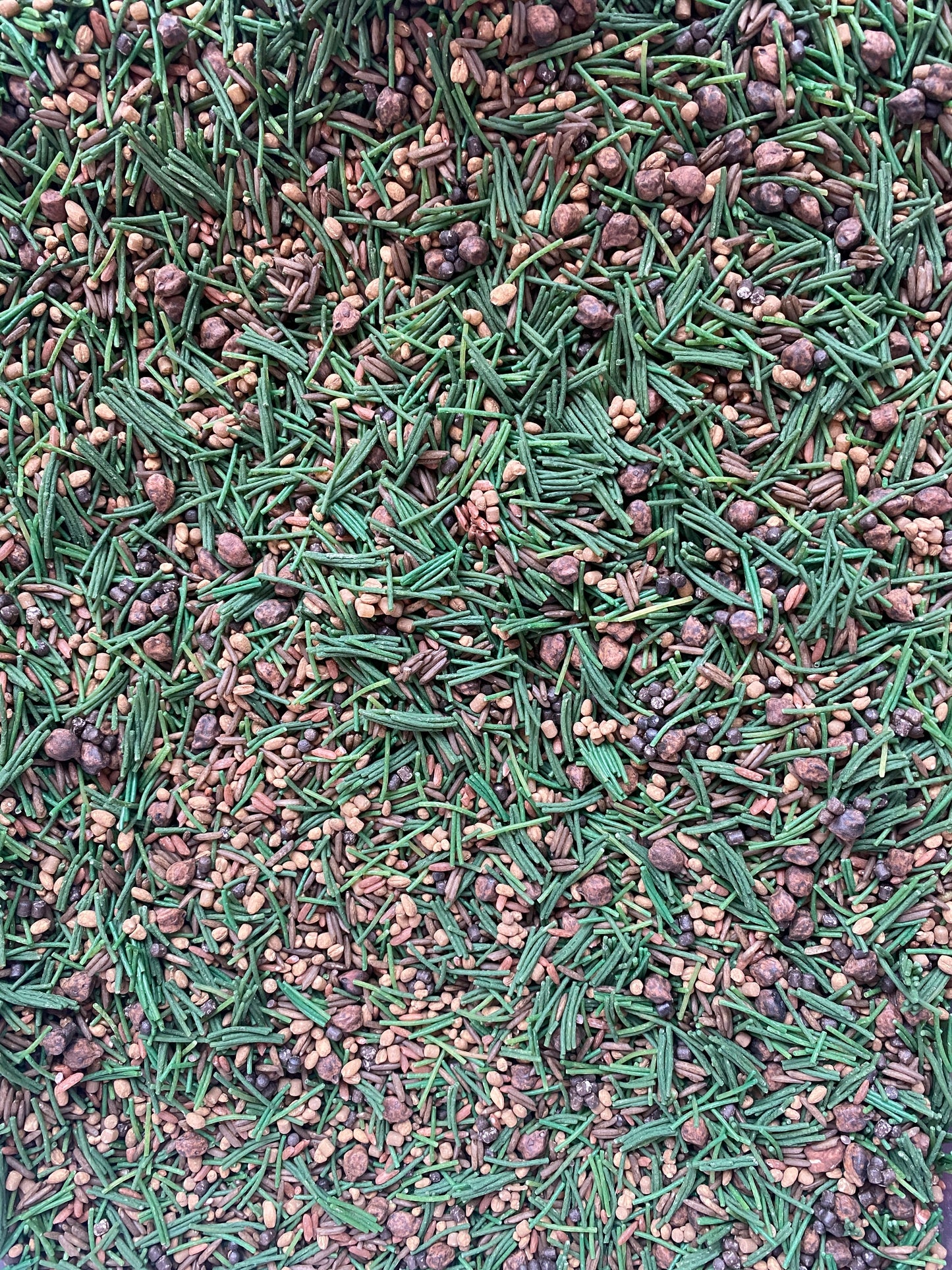 'Grass, Grit & Bugz' Pour & Explore Mix