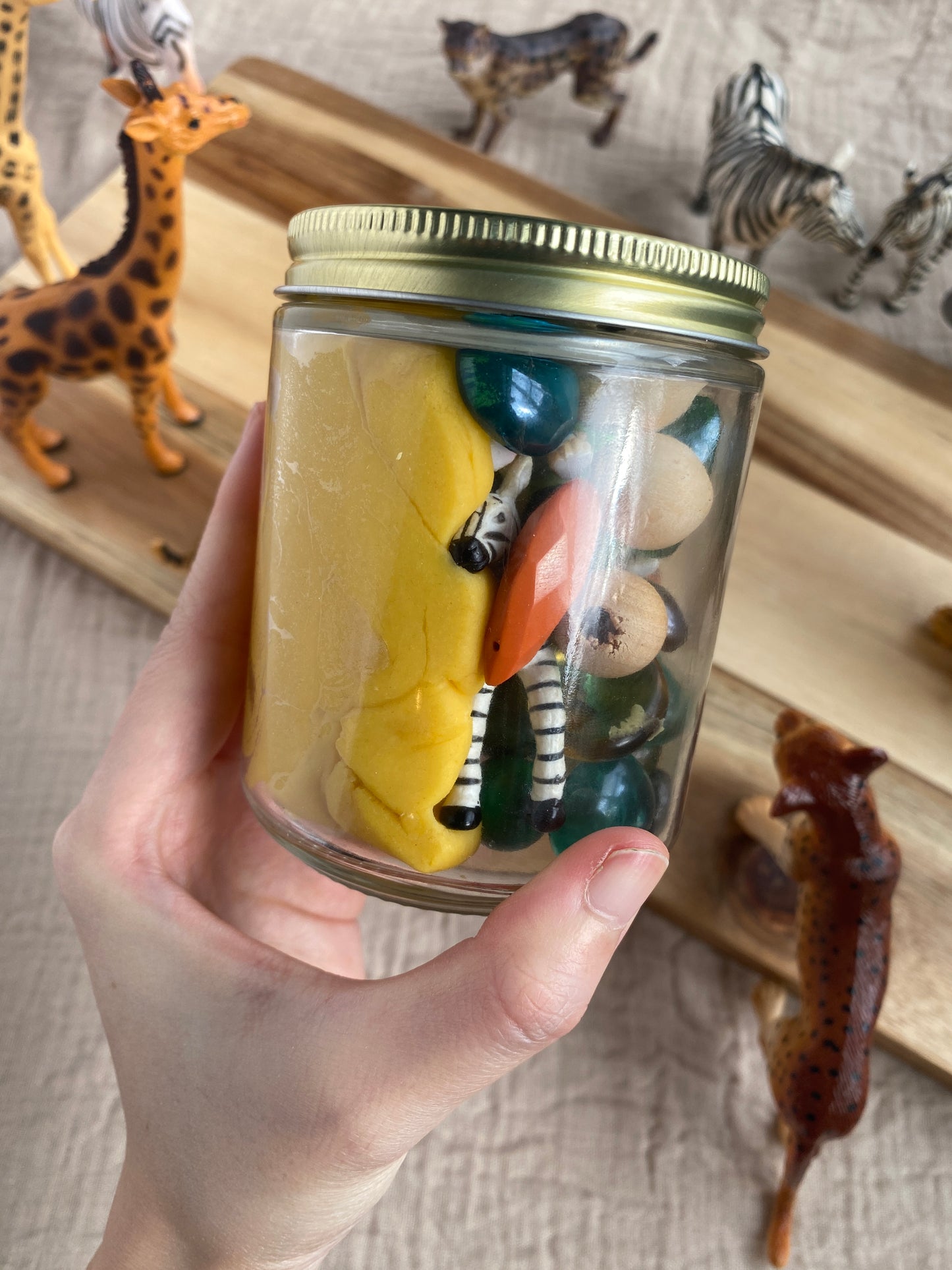 Savannah Safari - Dough to Go Jar