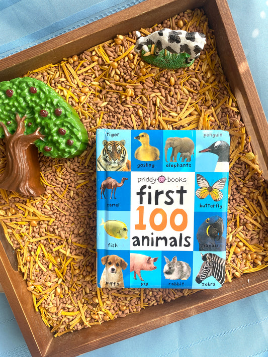 First 100 Animals - Book to Relove