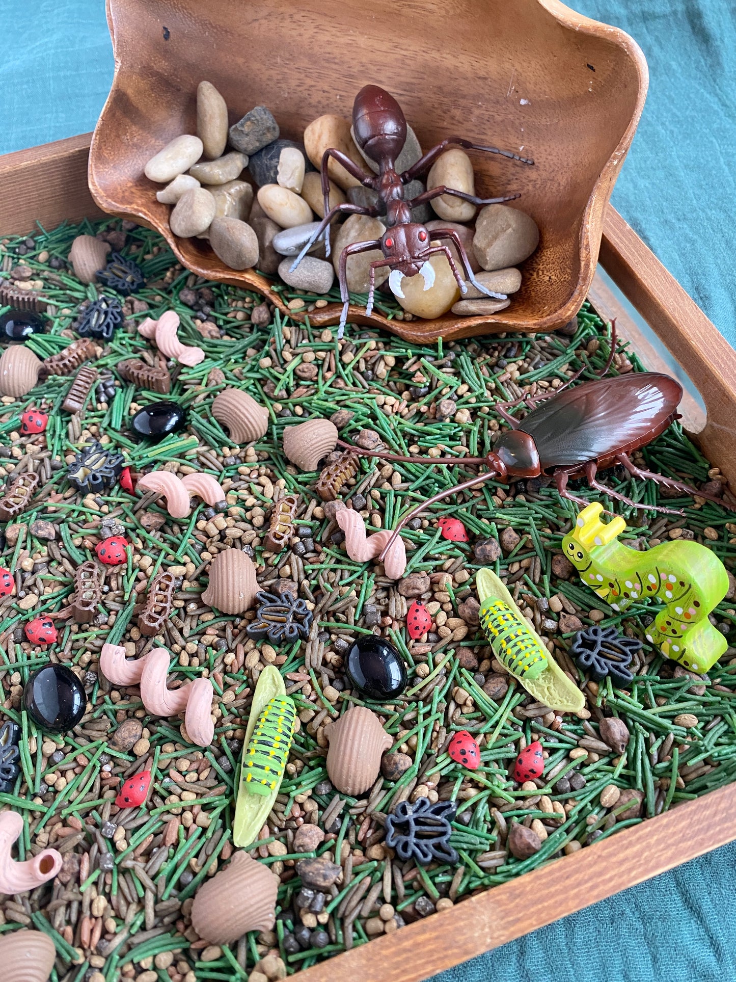 'Grass, Grit & Bugz' Pour & Explore Mix