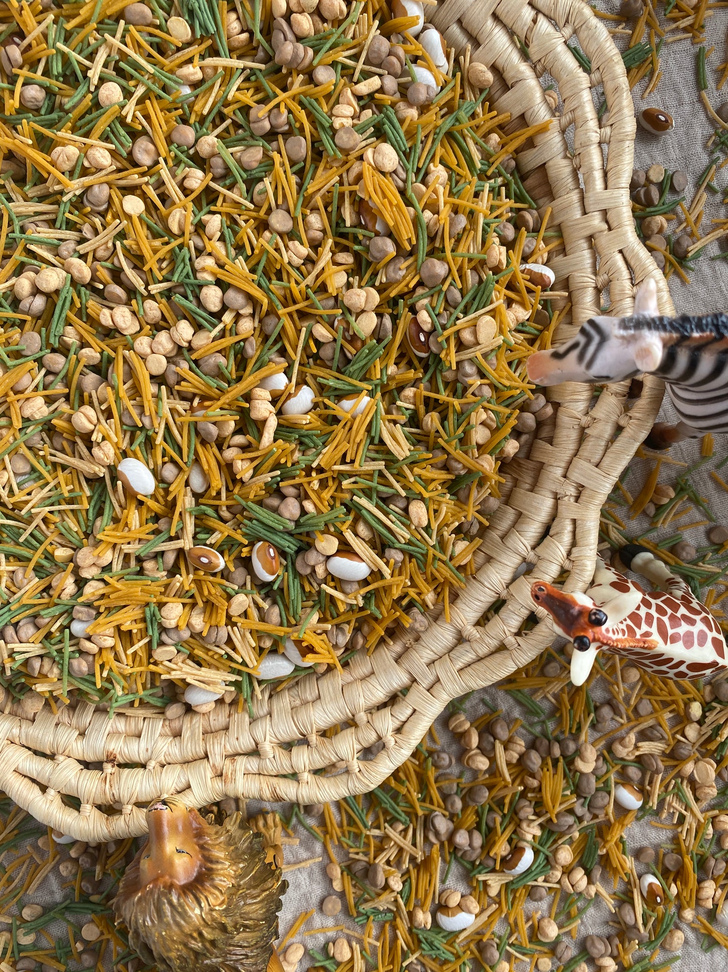 ‘Golden Savannah' Pour & Explore Mix