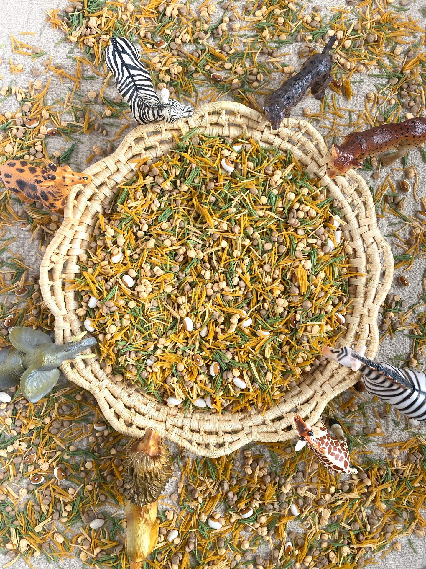 ‘Golden Savannah' Pour & Explore Mix