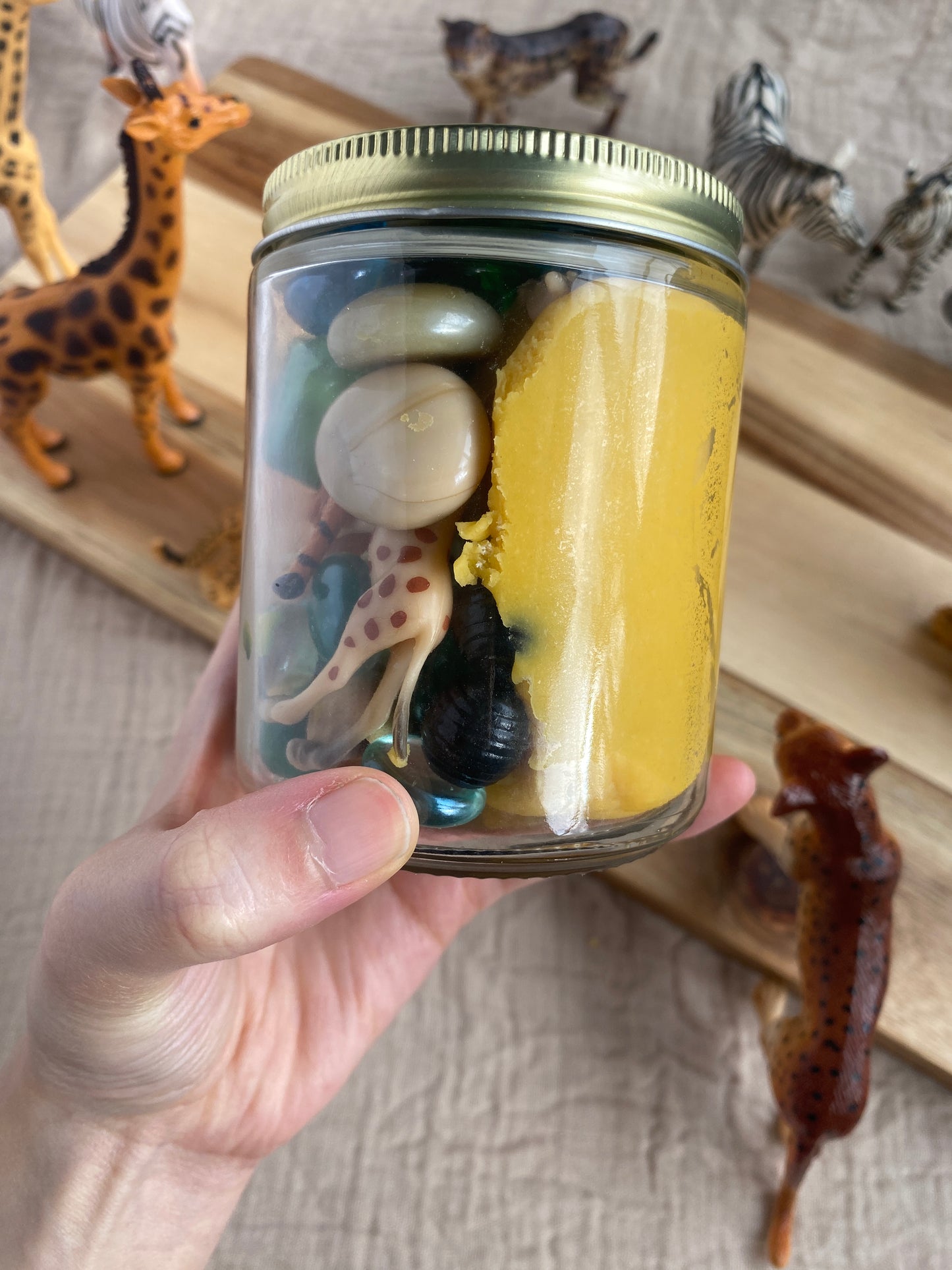 Savannah Safari - Dough to Go Jar