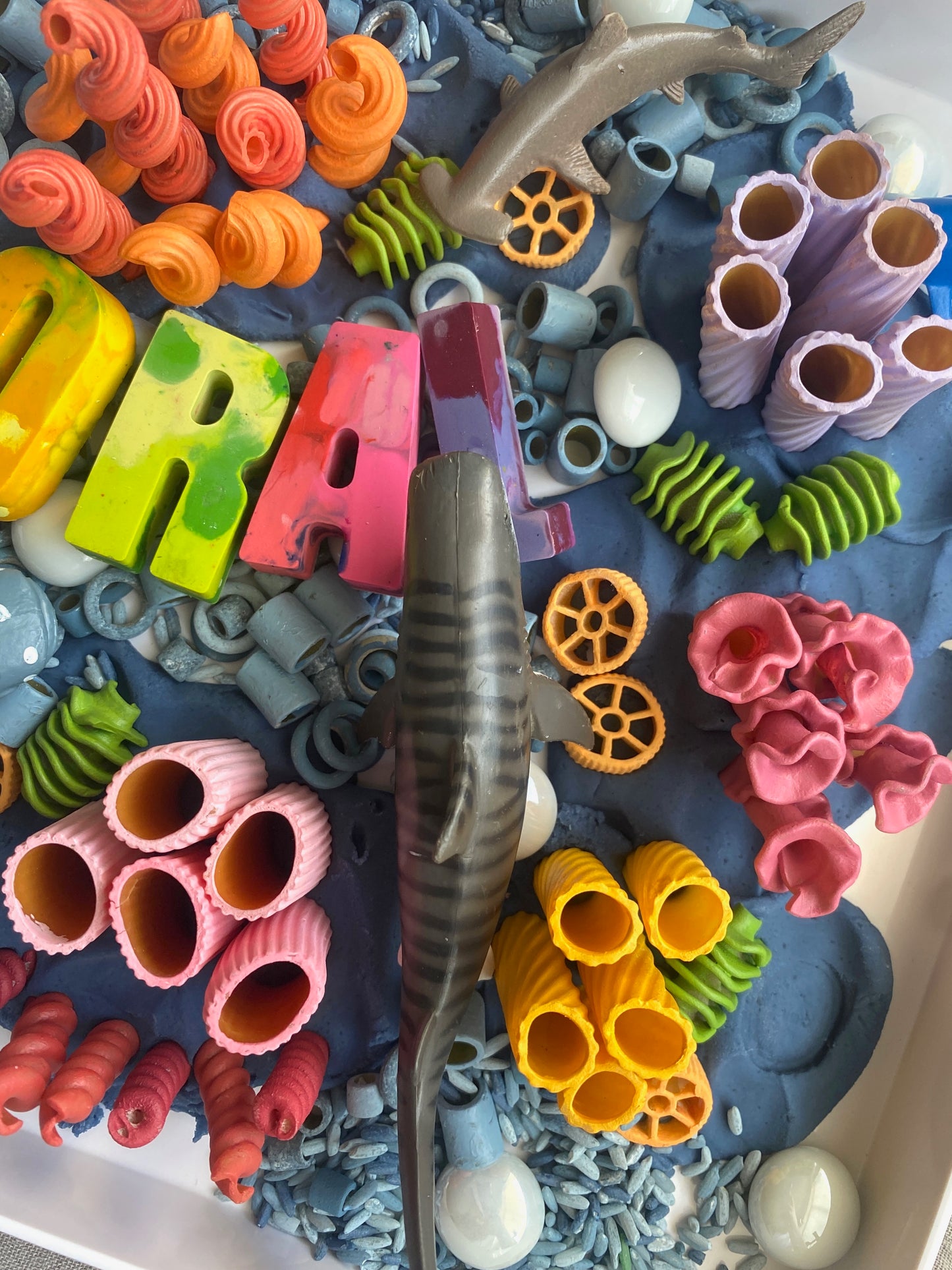 Radiant Reef - Sensory Play Kit