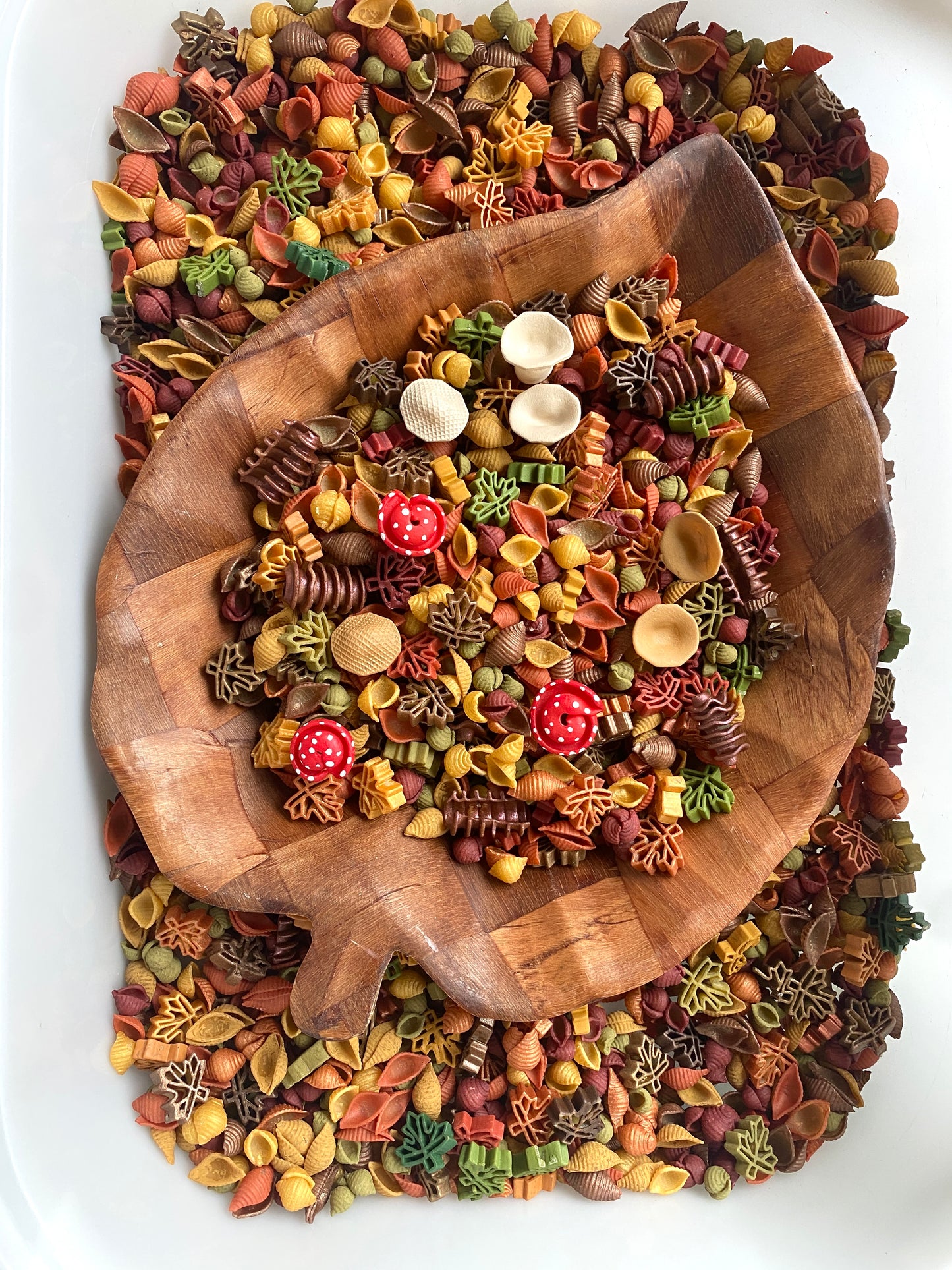 *PREORDER* 'Forage Forest' Pour & Explore Mix restock