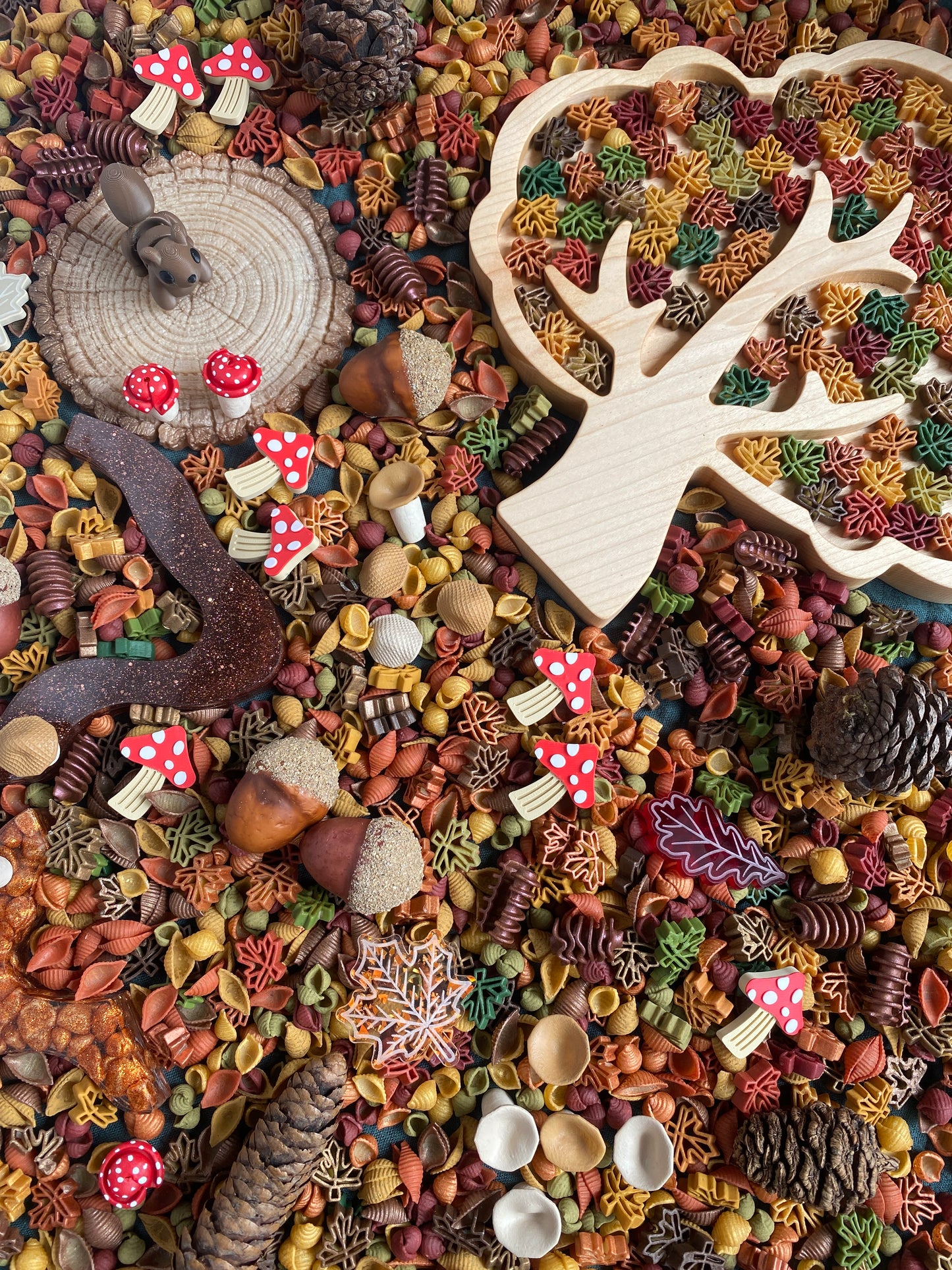 *PREORDER* 'Forage Forest' Pour & Explore Mix restock