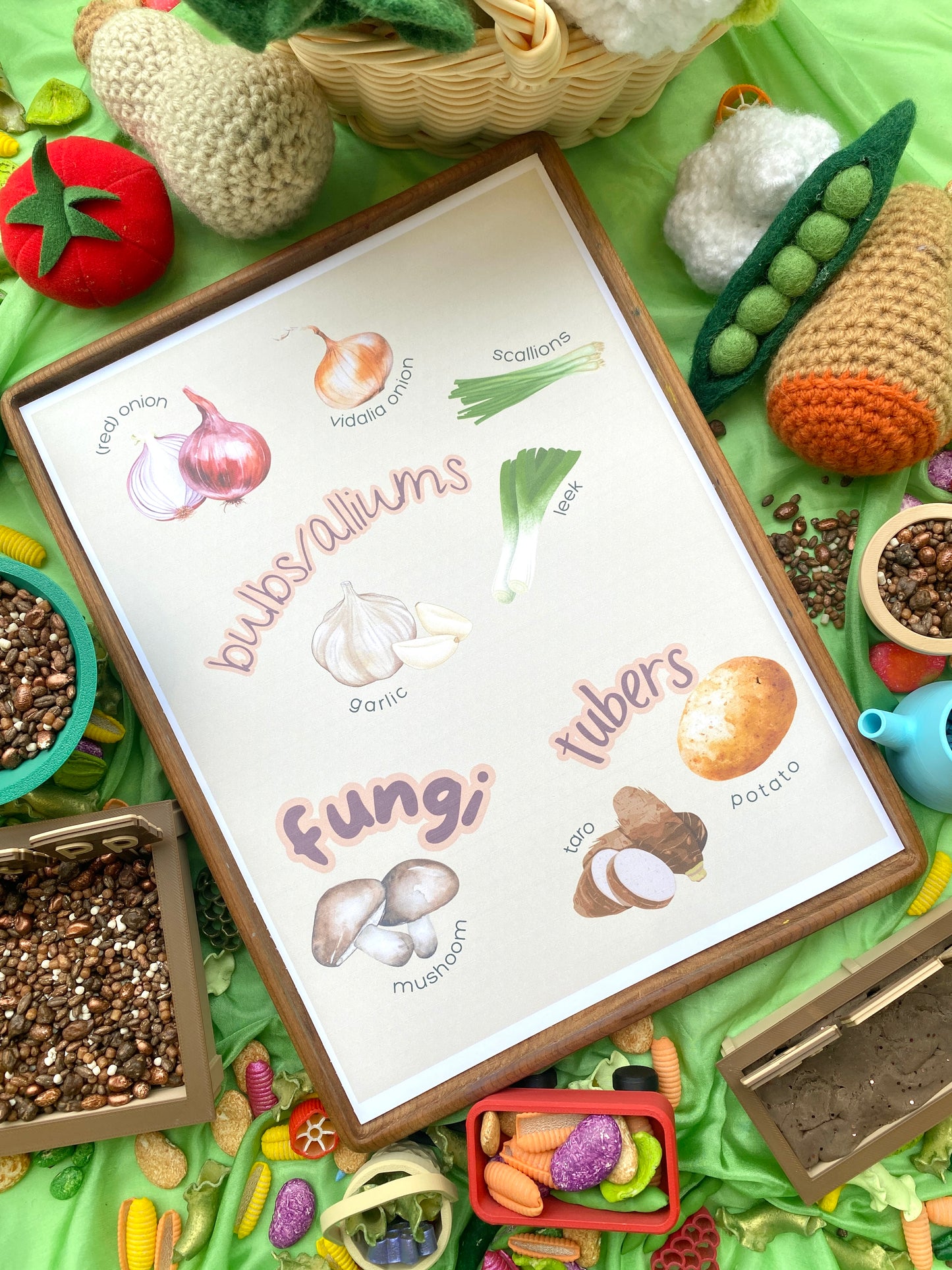 ‘Veggie Harvest’ Play Kit