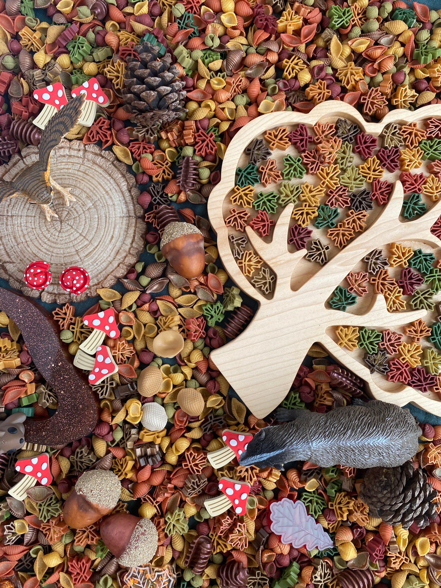 *PREORDER* 'Forage Forest' Pour & Explore Mix restock