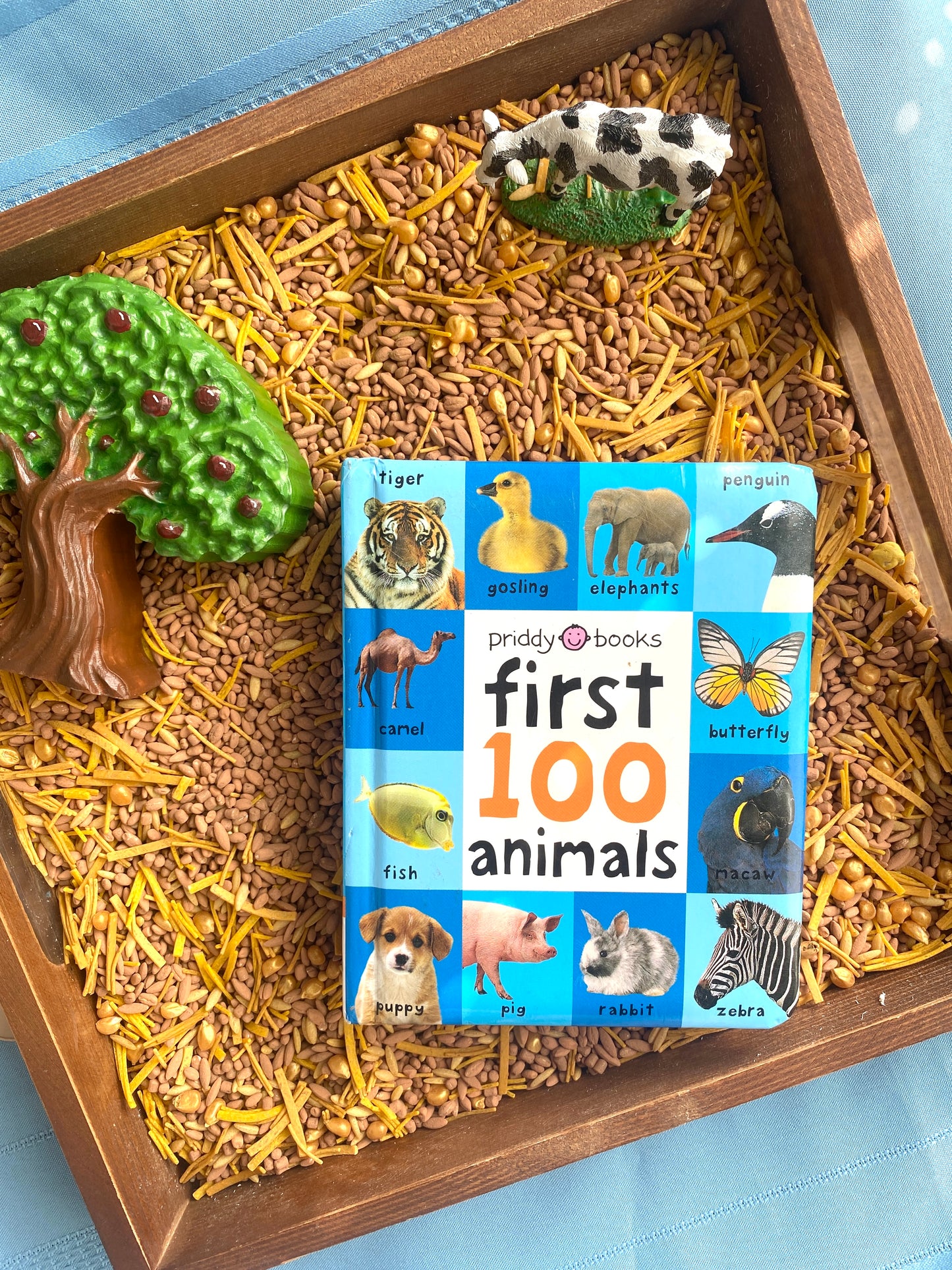 First 100 Animals - Book to Relove