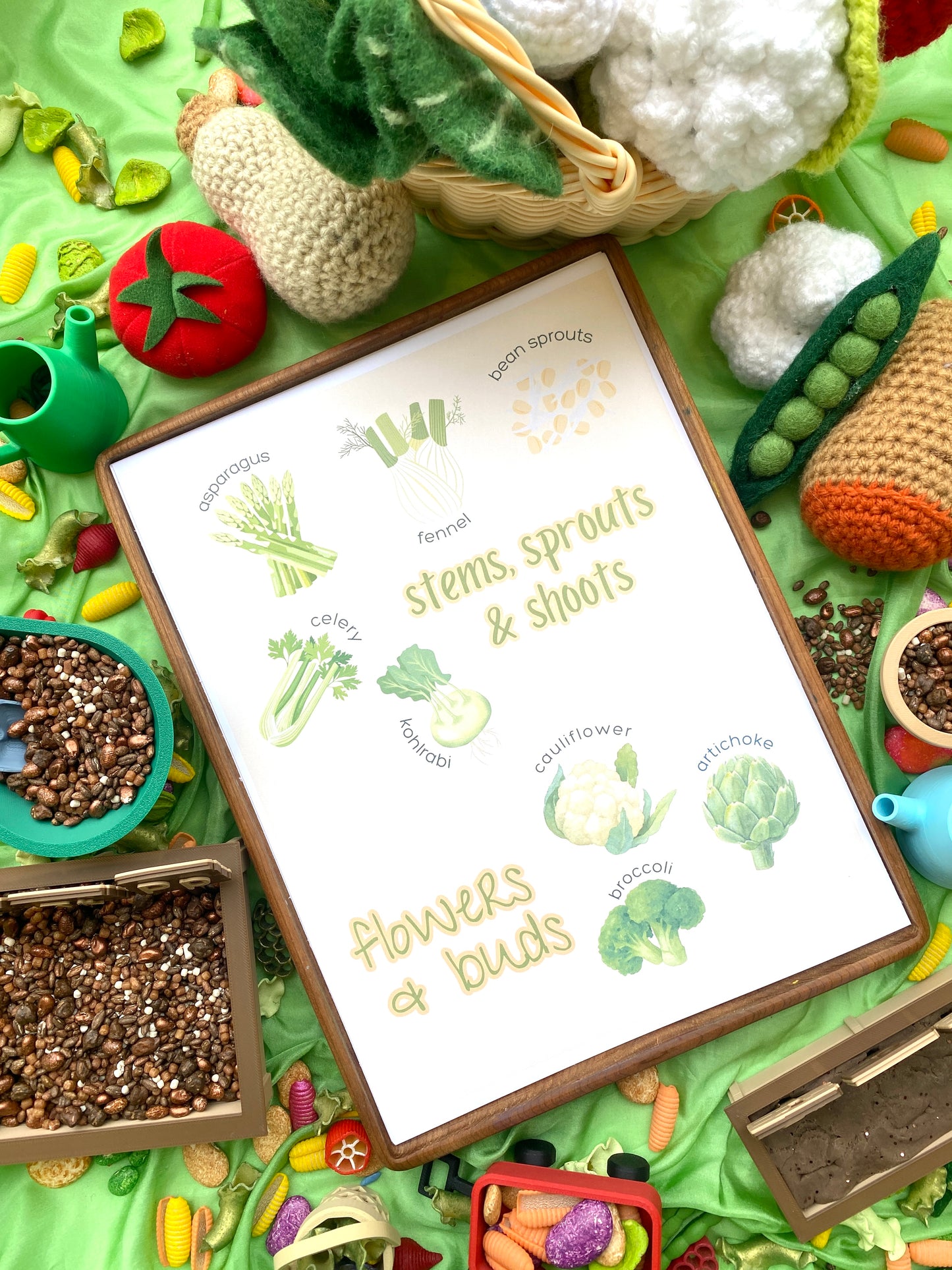 ‘Veggie Harvest’ Play Kit