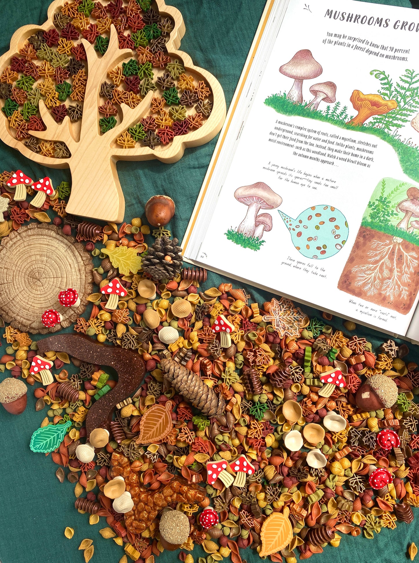 *PREORDER* 'Forage Forest' Pour & Explore Mix restock