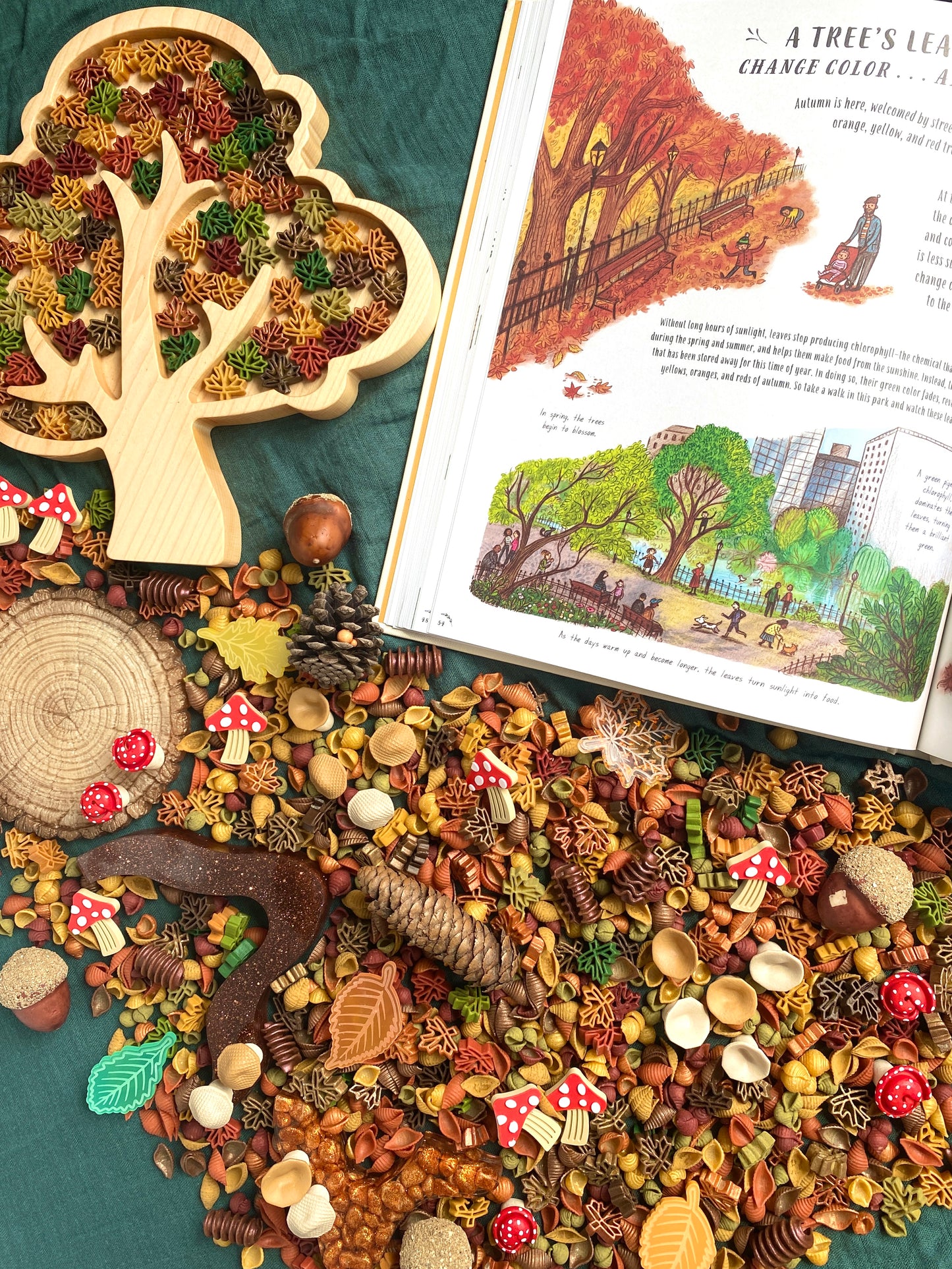 *PREORDER* 'Forage Forest' Pour & Explore Mix restock